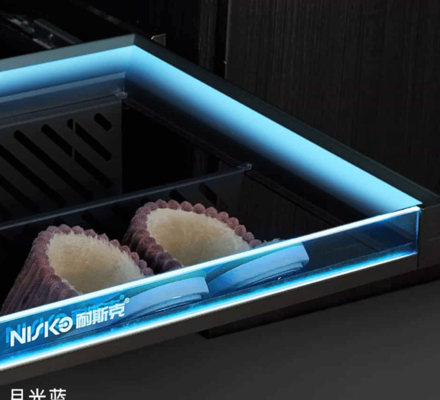 Good price Under Cabinet Shoe Organizer Pull Out 2 Shelves With LED Light online